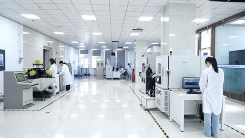 新技術(shù)激活新潛力 東北石油大學(xué)賦能國家能源安全與網(wǎng)絡(luò)信息安全軟件開發(fā)